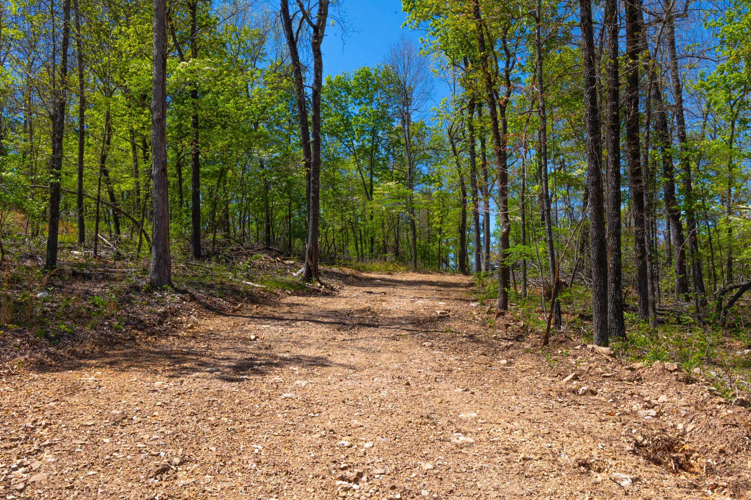 Lazybrook Tract 15 photo 1