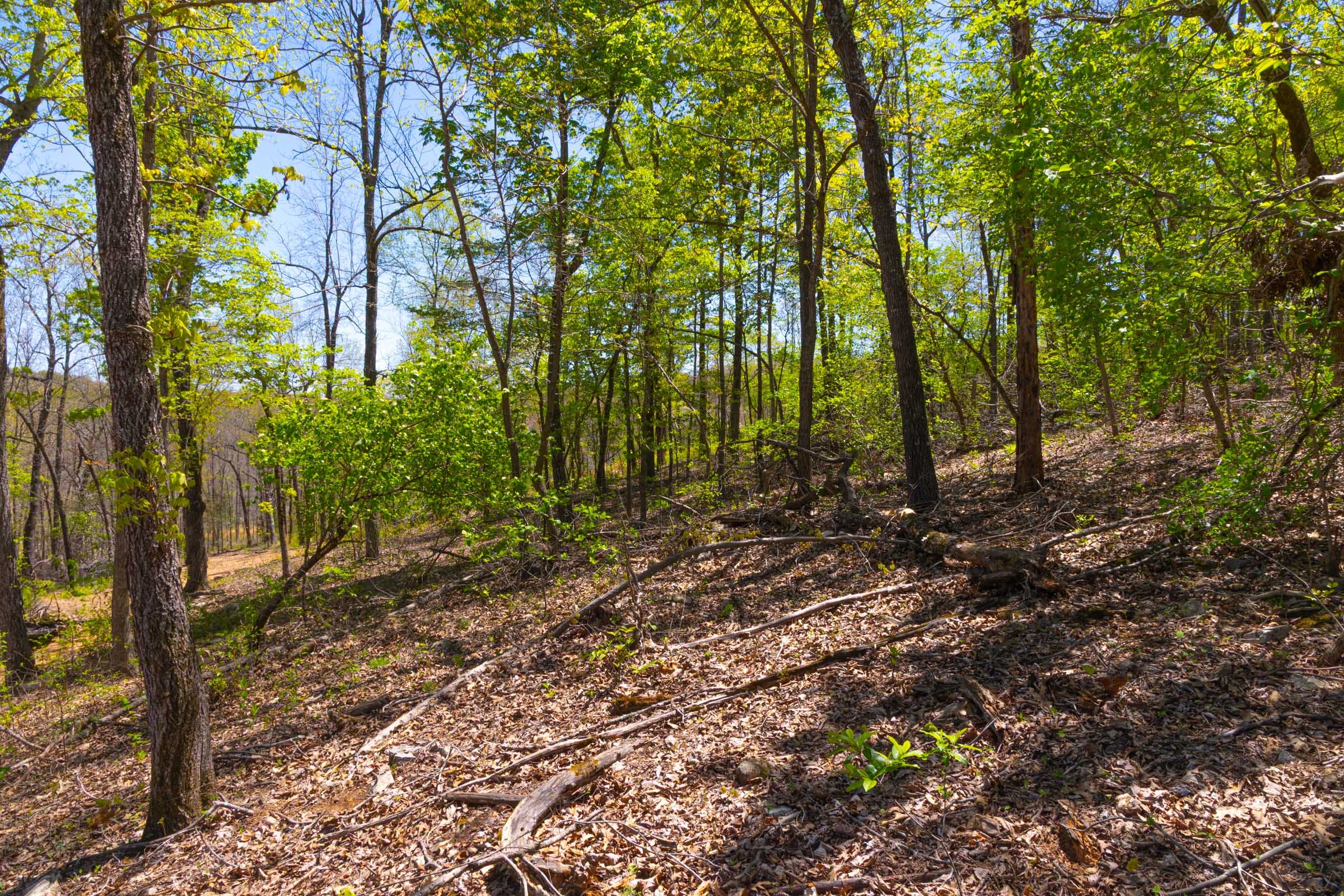 Lazybrook Tract 15 photo 15