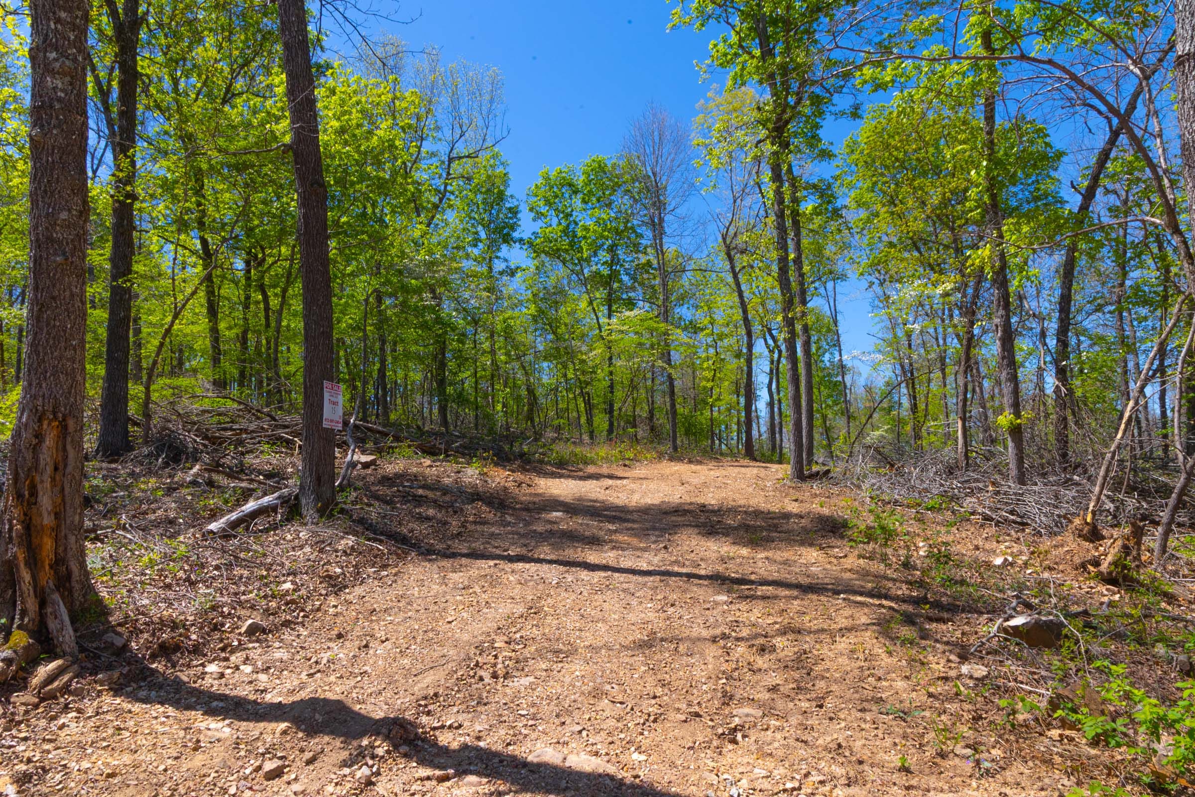 Lazybrook Tract 15 photo 2