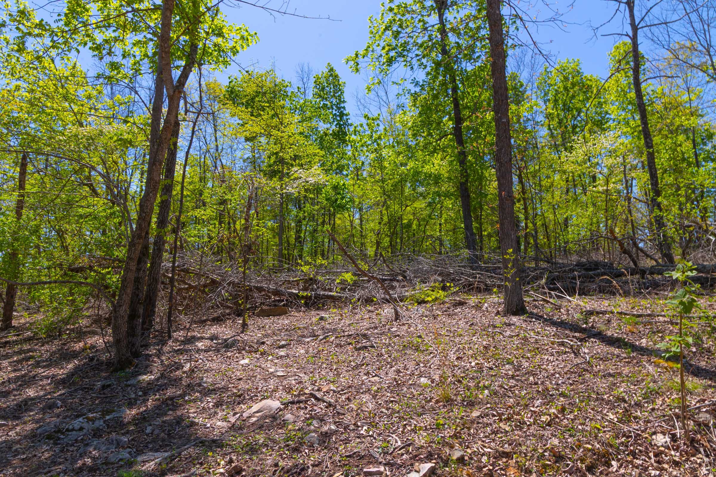 Lazybrook Tract 15 photo 6