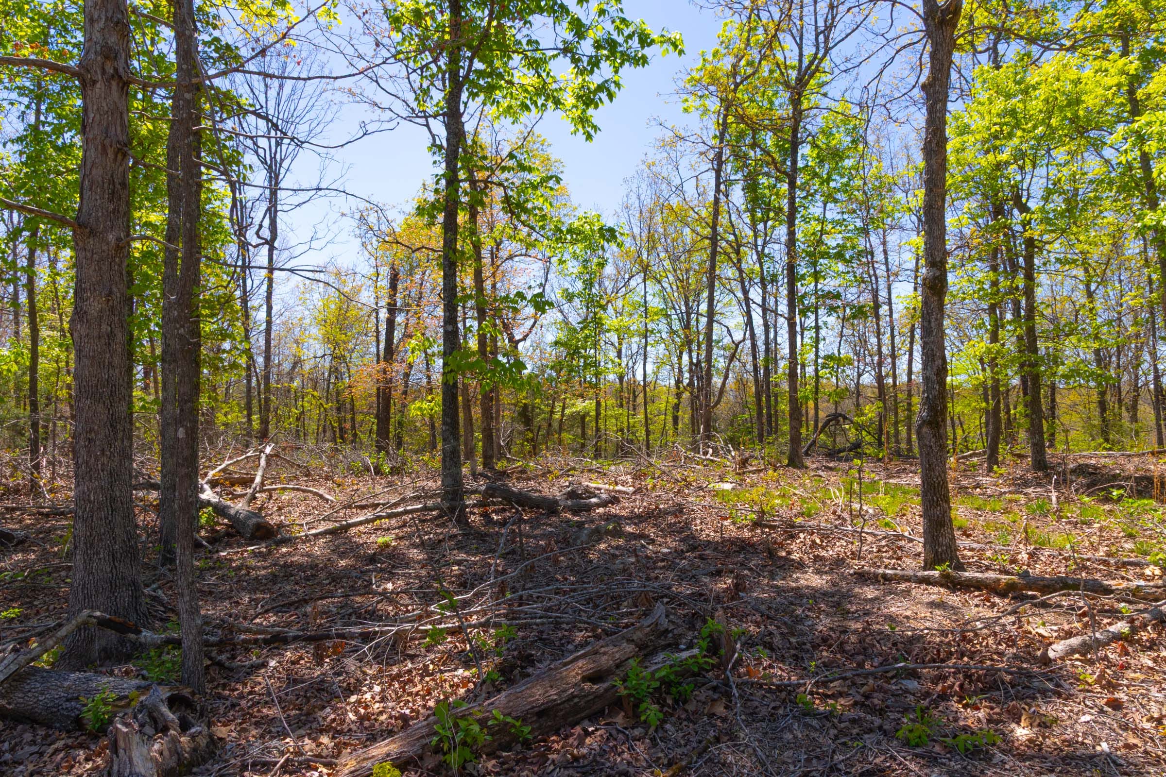 Lazybrook Tract 15 photo 9