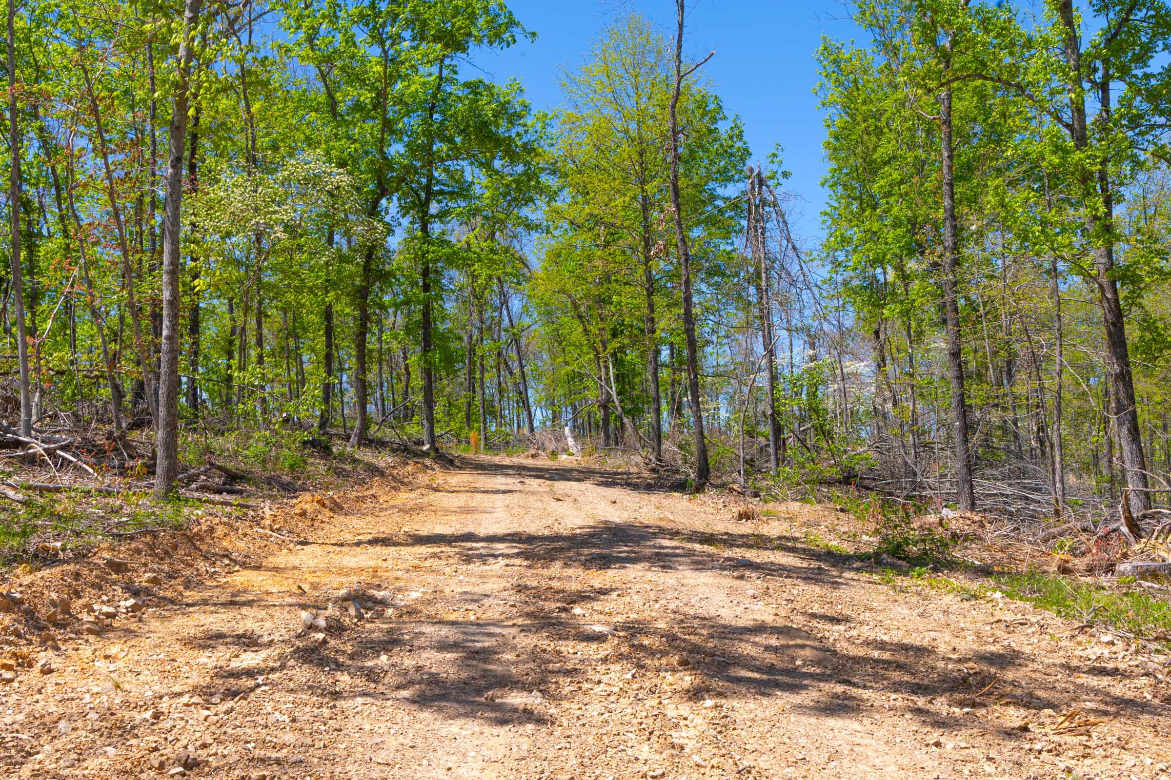 Lazybrook Tract 15 photo 3