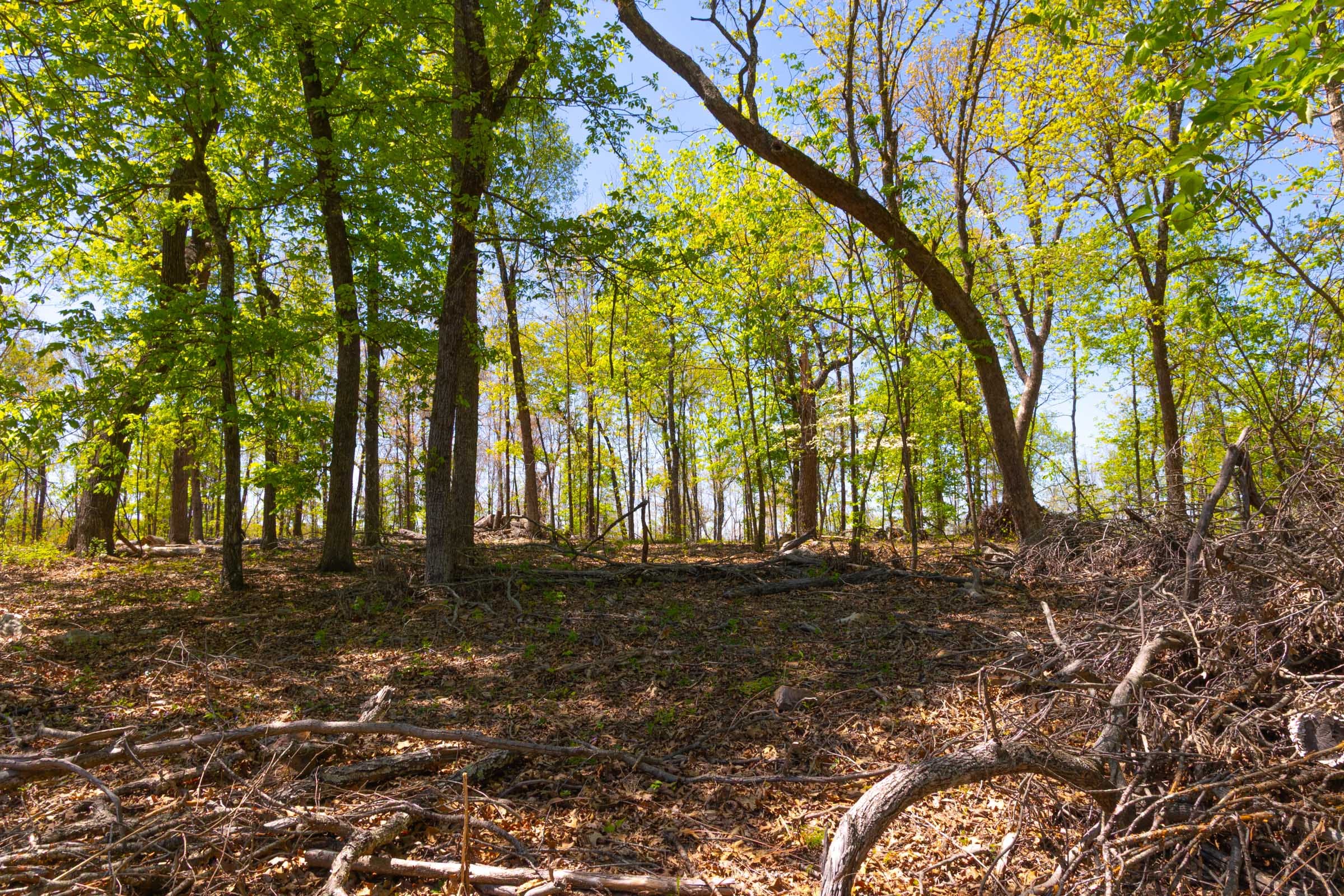 Lazybrook Tract 15 photo 5