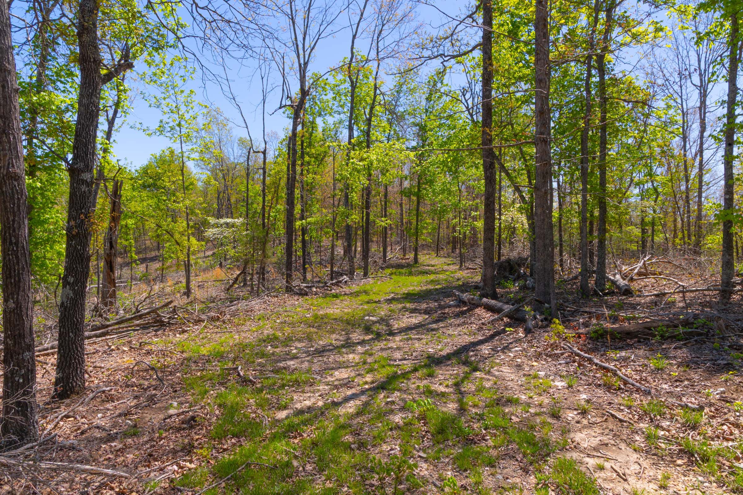 Lazybrook Tract 15 photo 10