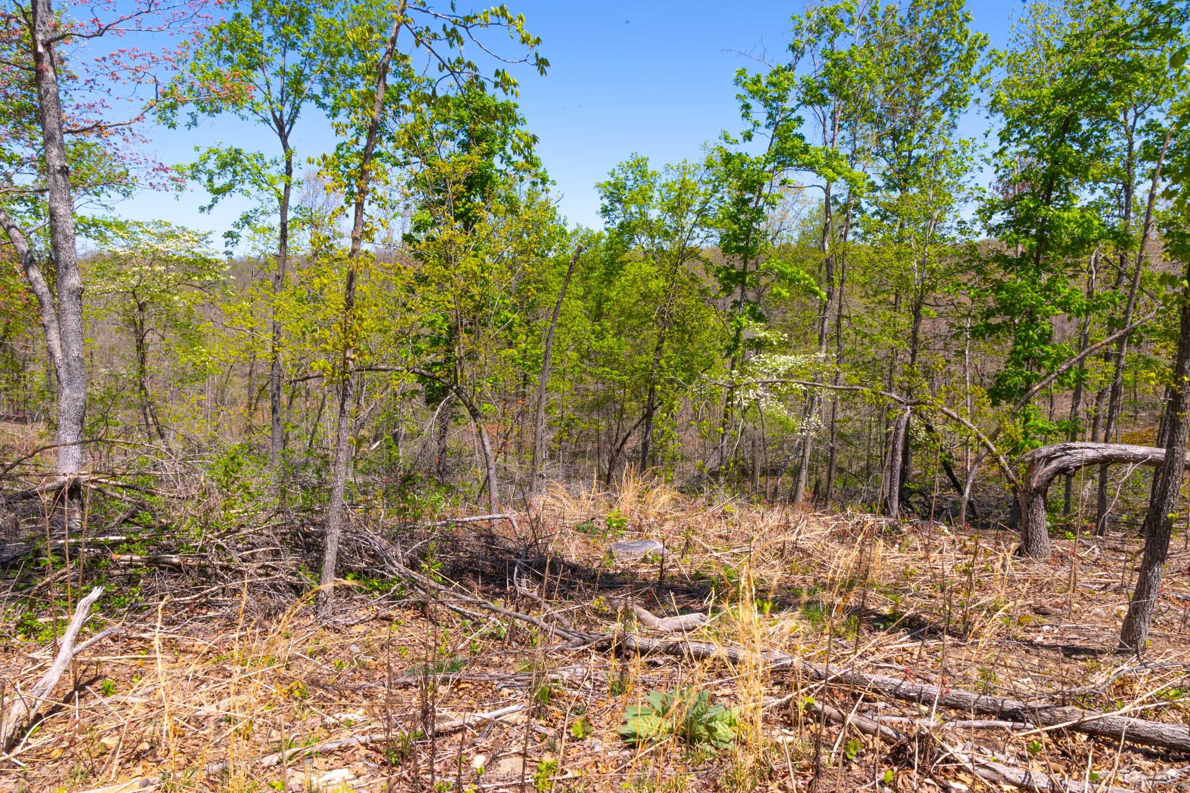 Lazybrook Tract 15 photo 12