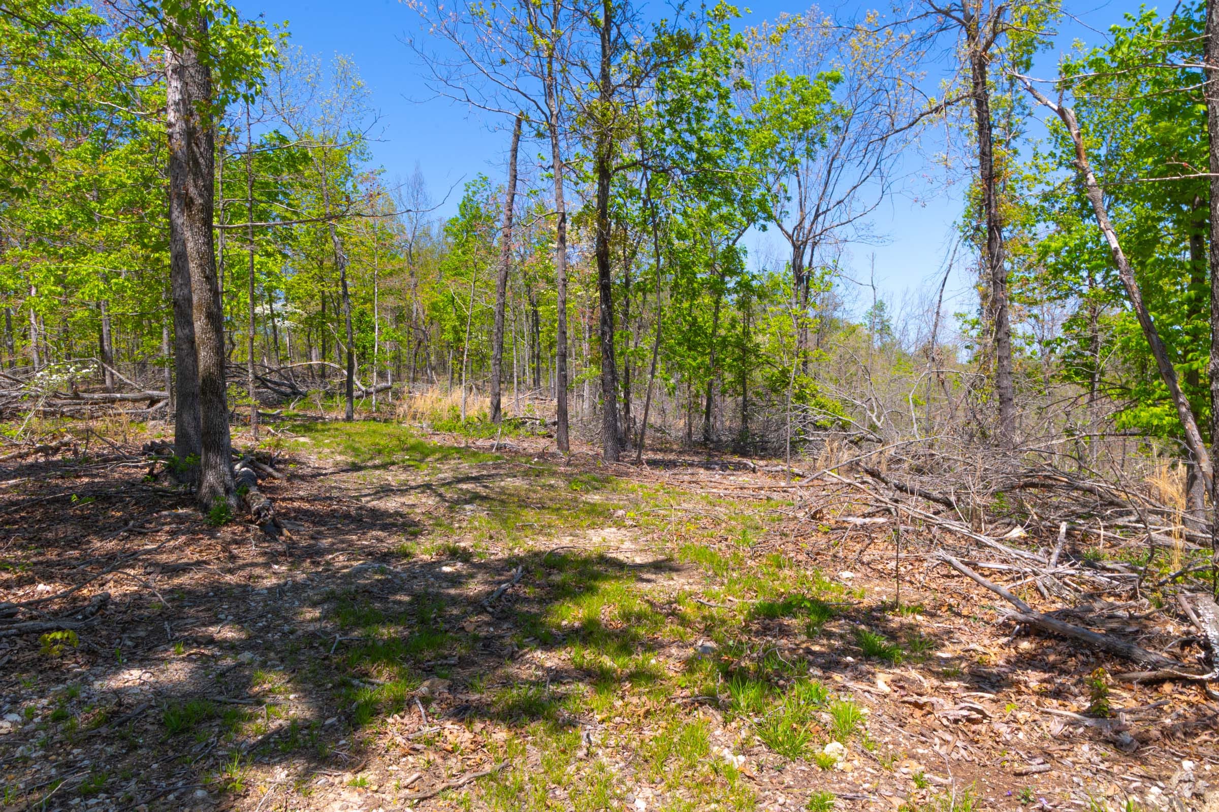 Lazybrook Tract 15 photo 13