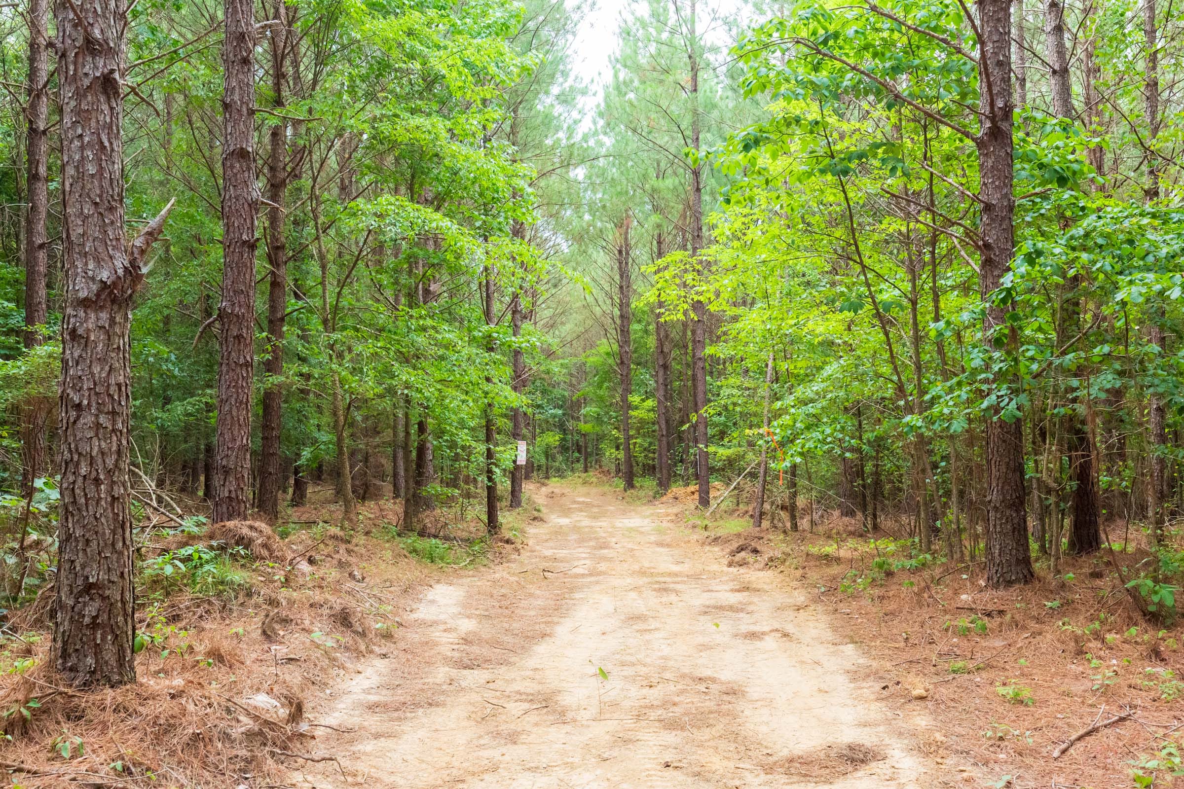 Whiskey Ridge Tract 86 photo 1