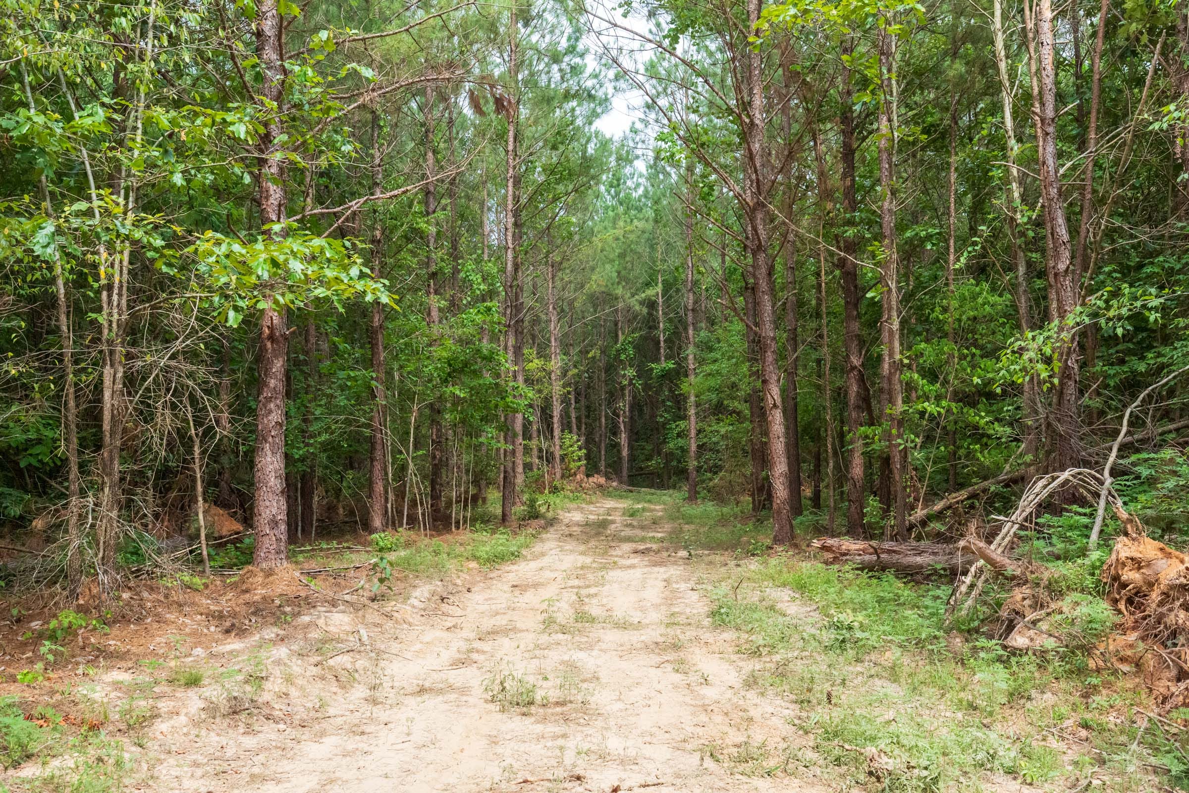 Whiskey Ridge Tract 86 photo 11