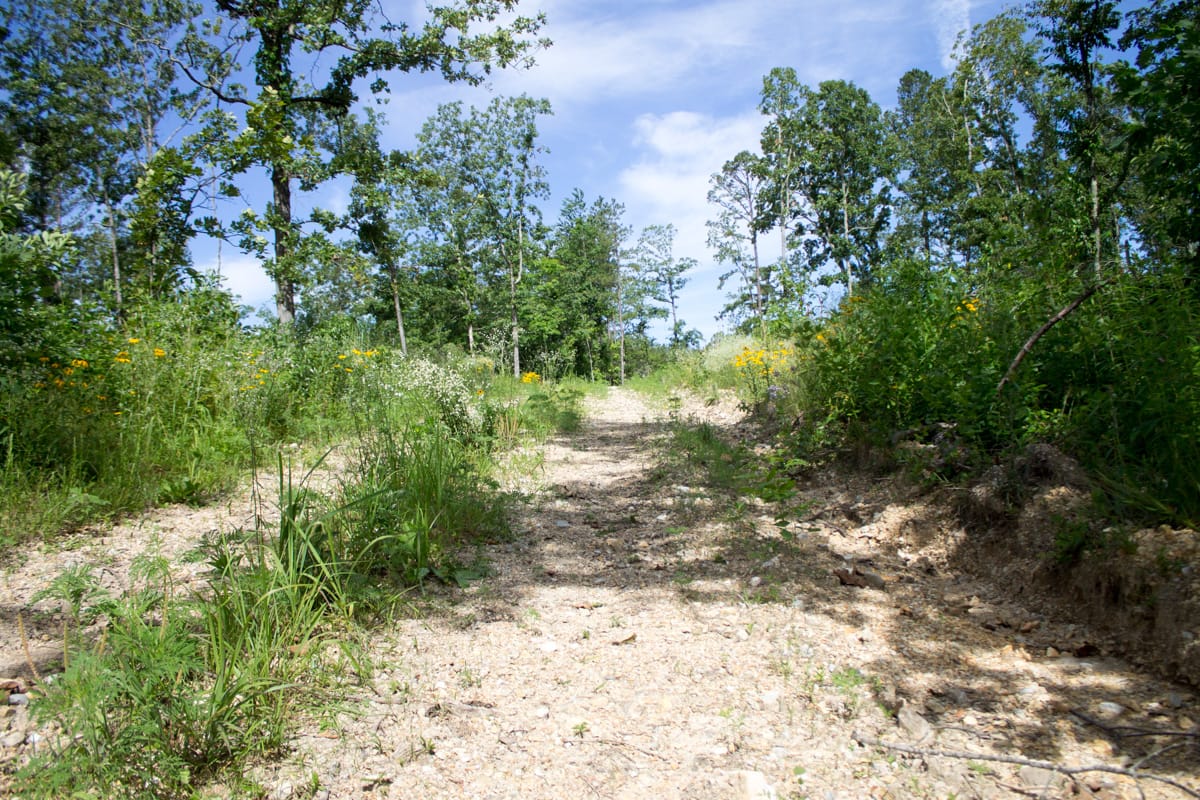 Timber Crossing Tract 29 photo 2