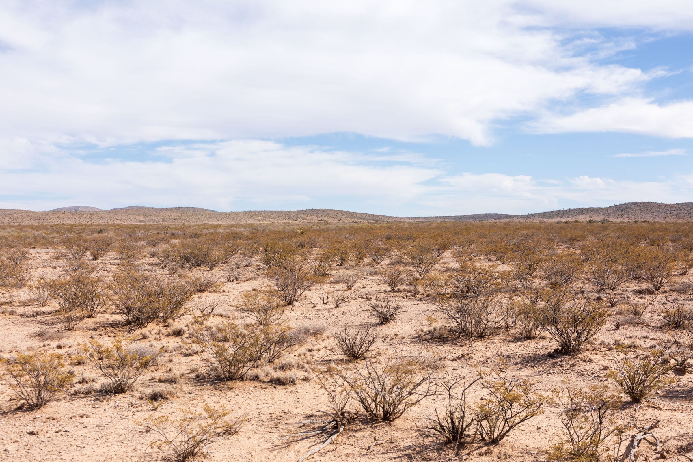 Sunrise Ranches Phase IV Tract 197 photo 14