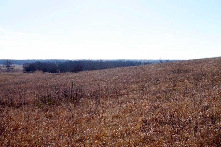 Cowboy Meadows Tract 23 photo 4
