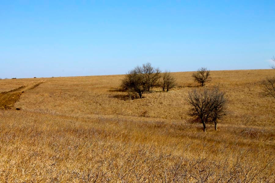 Cowboy Meadows Tract 23 photo 5
