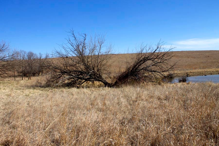 Cowboy Meadows Tract 23 photo 7