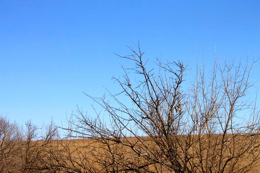 Cowboy Meadows Tract 23 photo 8