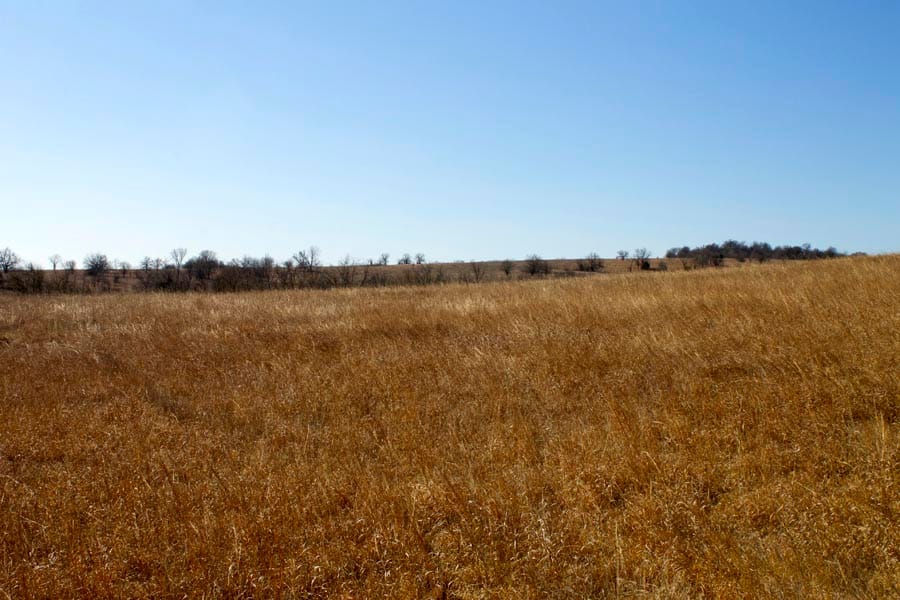 Cowboy Meadows Tract 23 photo 17