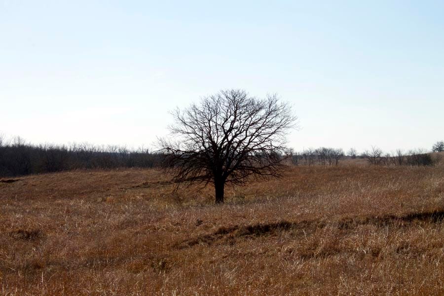 Cowboy Meadows Tract 23 photo 18