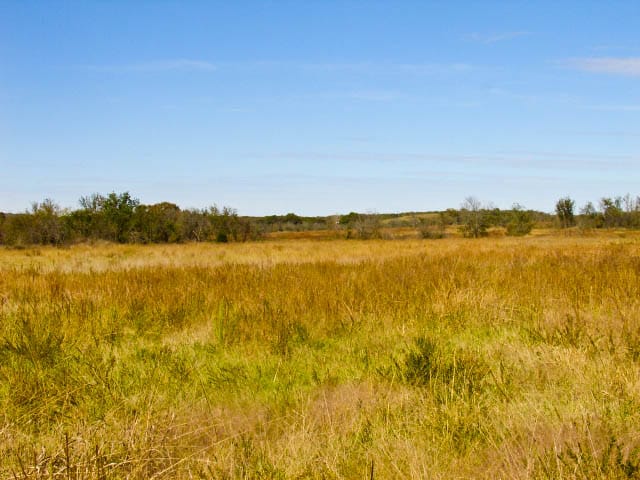 Saddlebrook Ranch Tract 14 photo 2