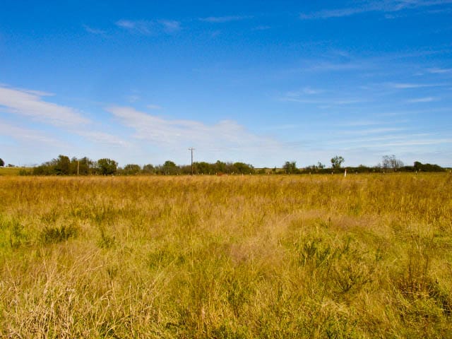 Saddlebrook Ranch Tract 14 photo 3