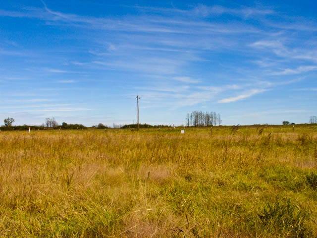 Saddlebrook Ranch Tract 14 photo 4