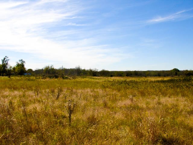 Saddlebrook Ranch Tract 14 photo 5
