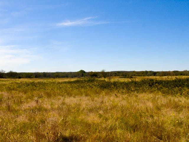 Saddlebrook Ranch Tract 14 photo 6
