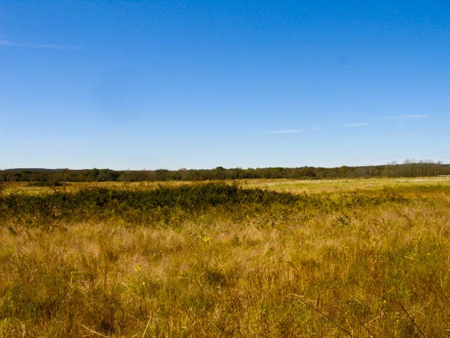 Saddlebrook Ranch Tract 14 photo 7