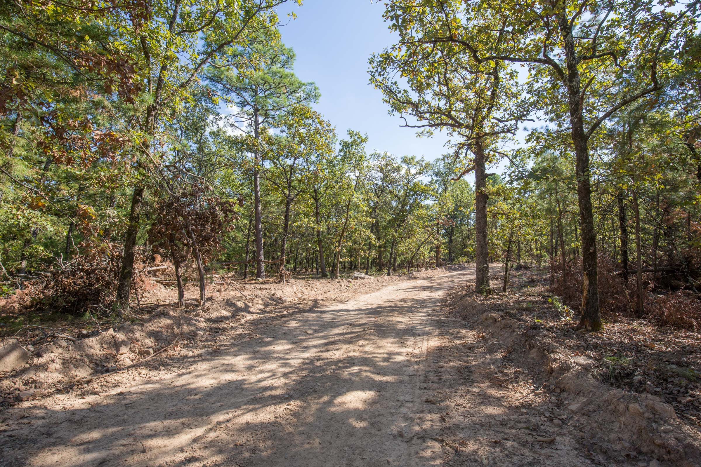 Stone Bridge Phase I Tract 51 photo 1