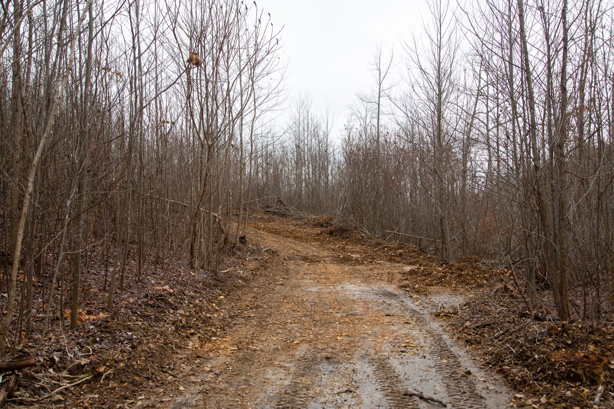 Southwind Ranch Tract 20 photo 8