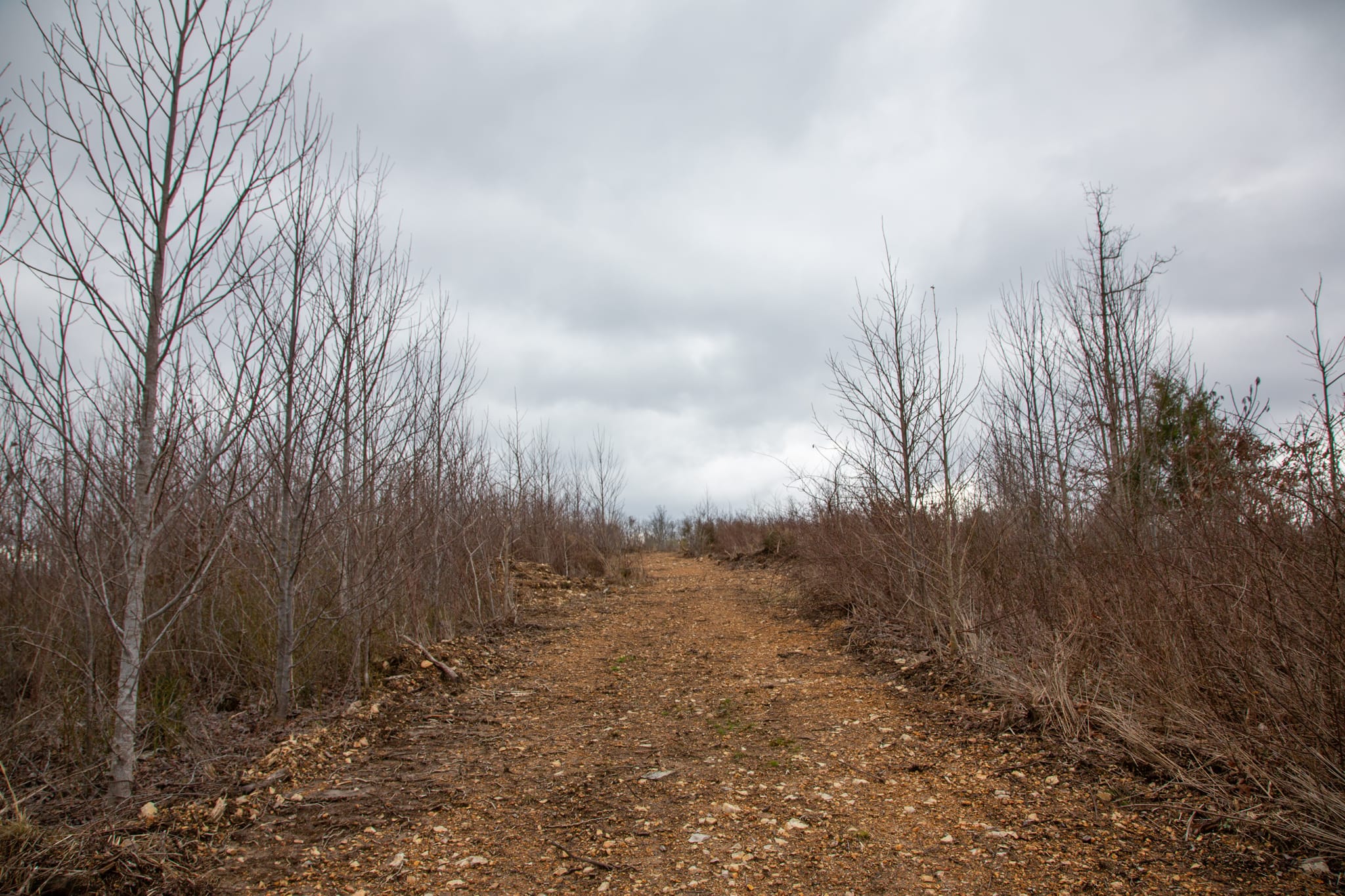 Southwind Ranch Tract 20 photo 14