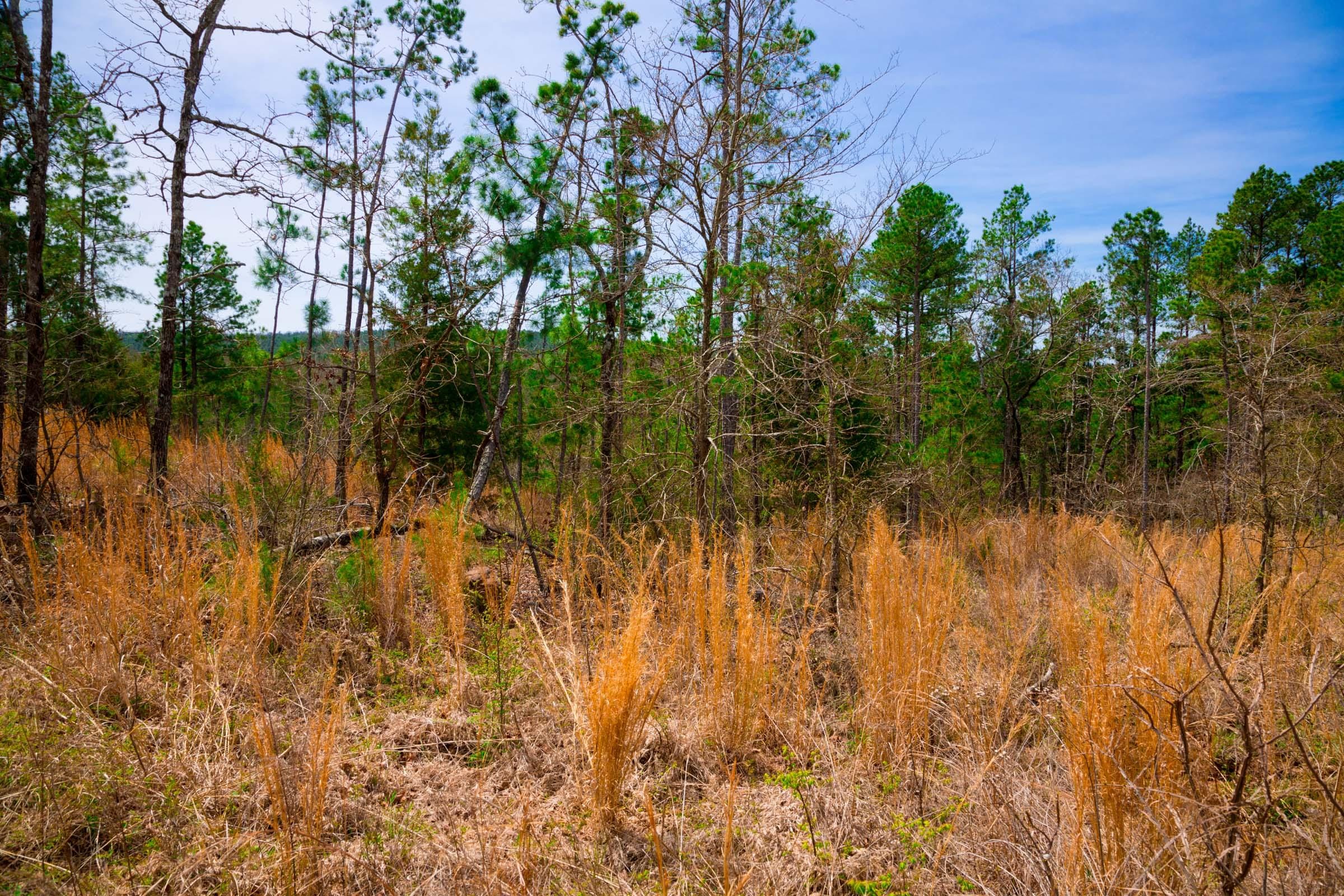 Stone Creek Phase II Tract 206 photo 9