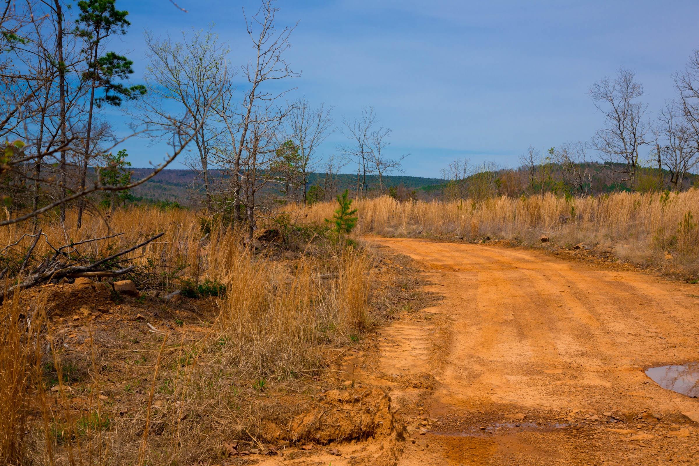 Stone Creek Phase II Tract 206 photo 8