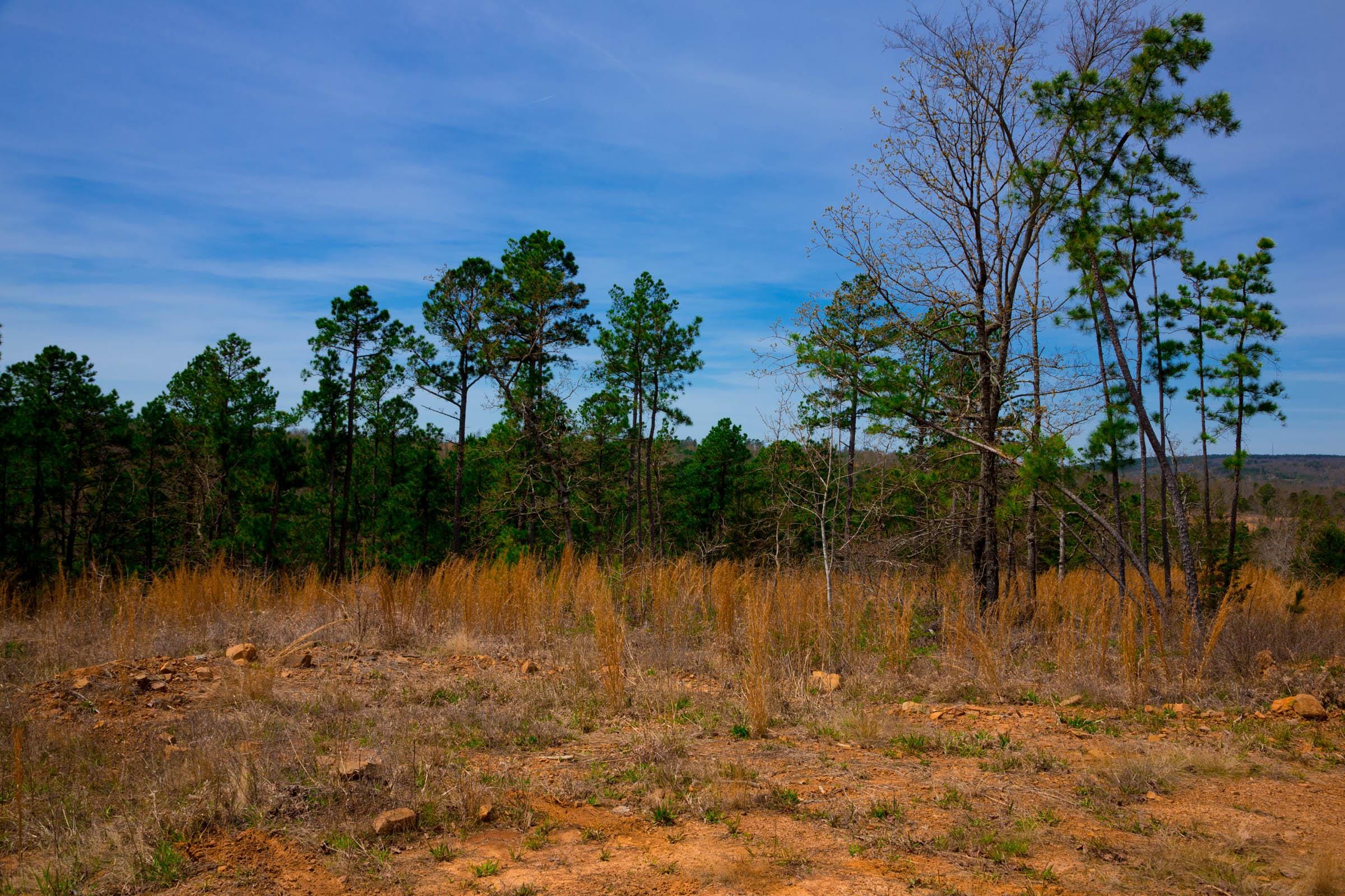 Stone Creek Phase II Tract 206 photo 11