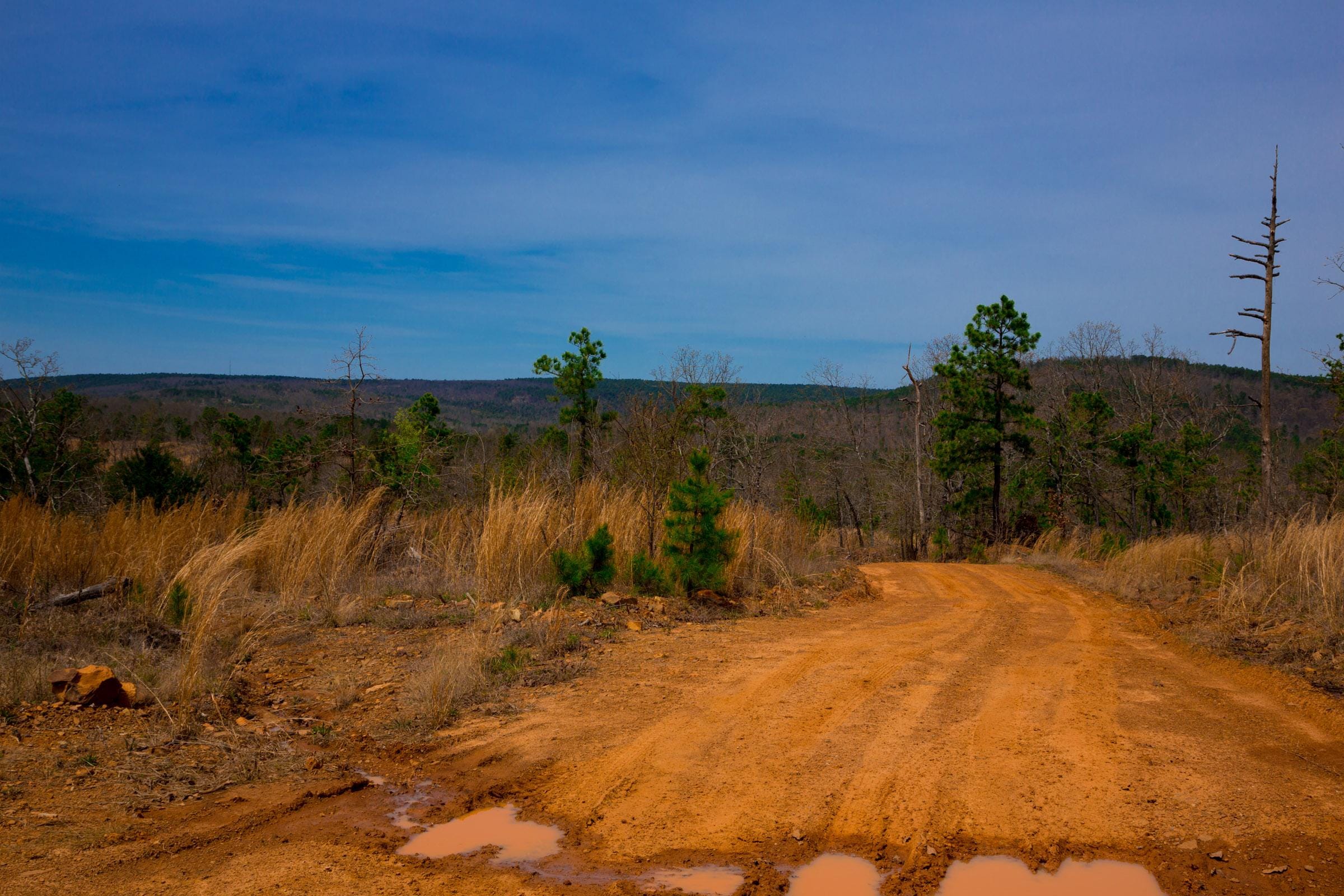 Stone Creek Phase II Tract 206 photo 2
