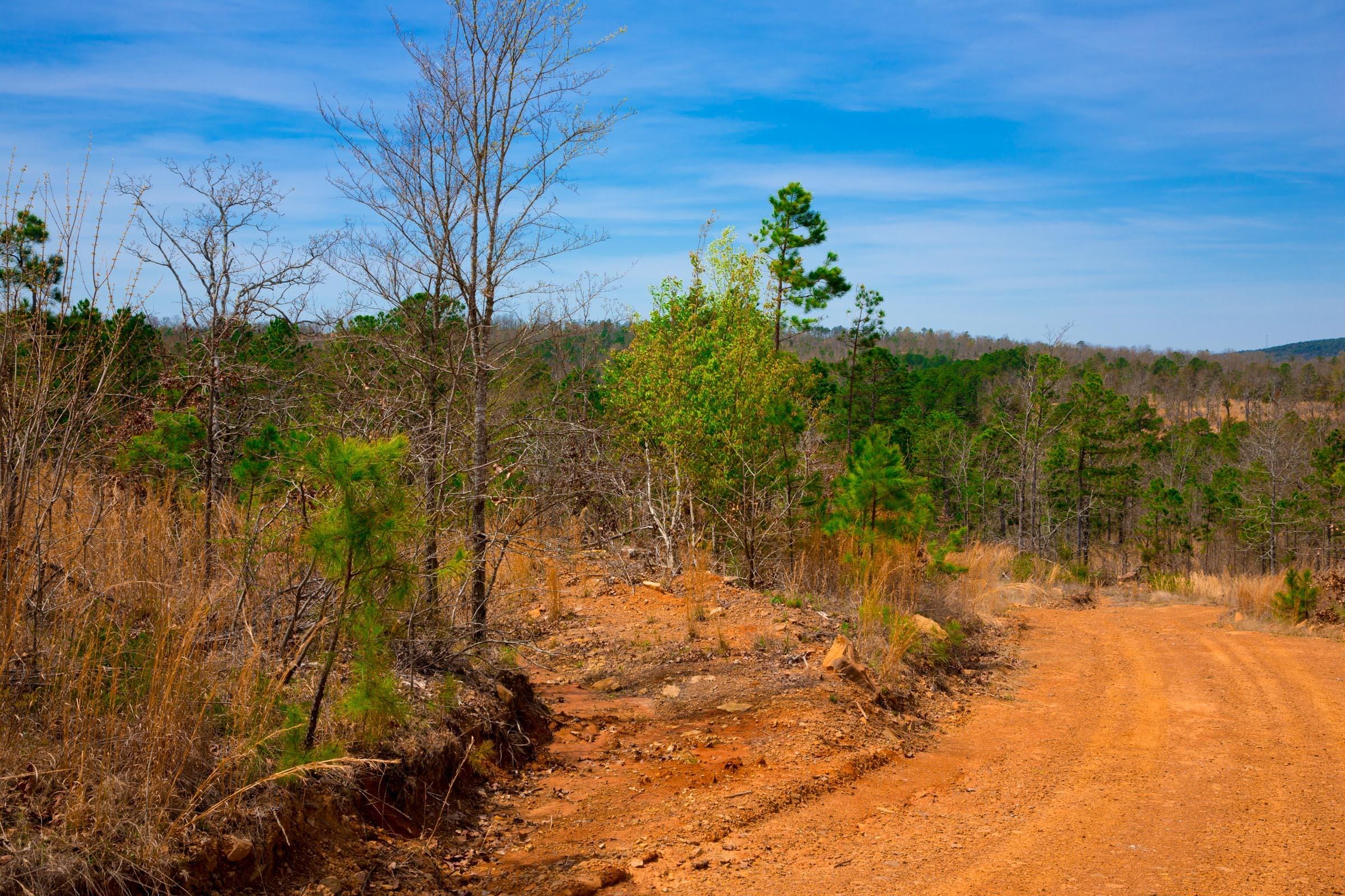 Stone Creek Phase II Tract 206 photo 12
