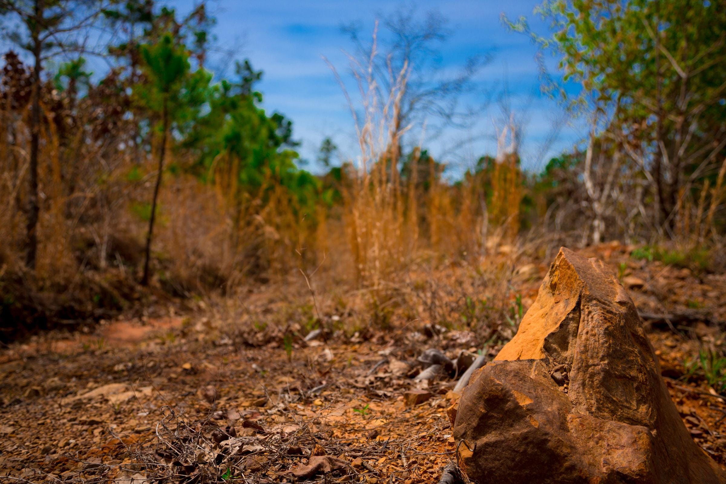 Stone Creek Phase II Tract 206 photo 14