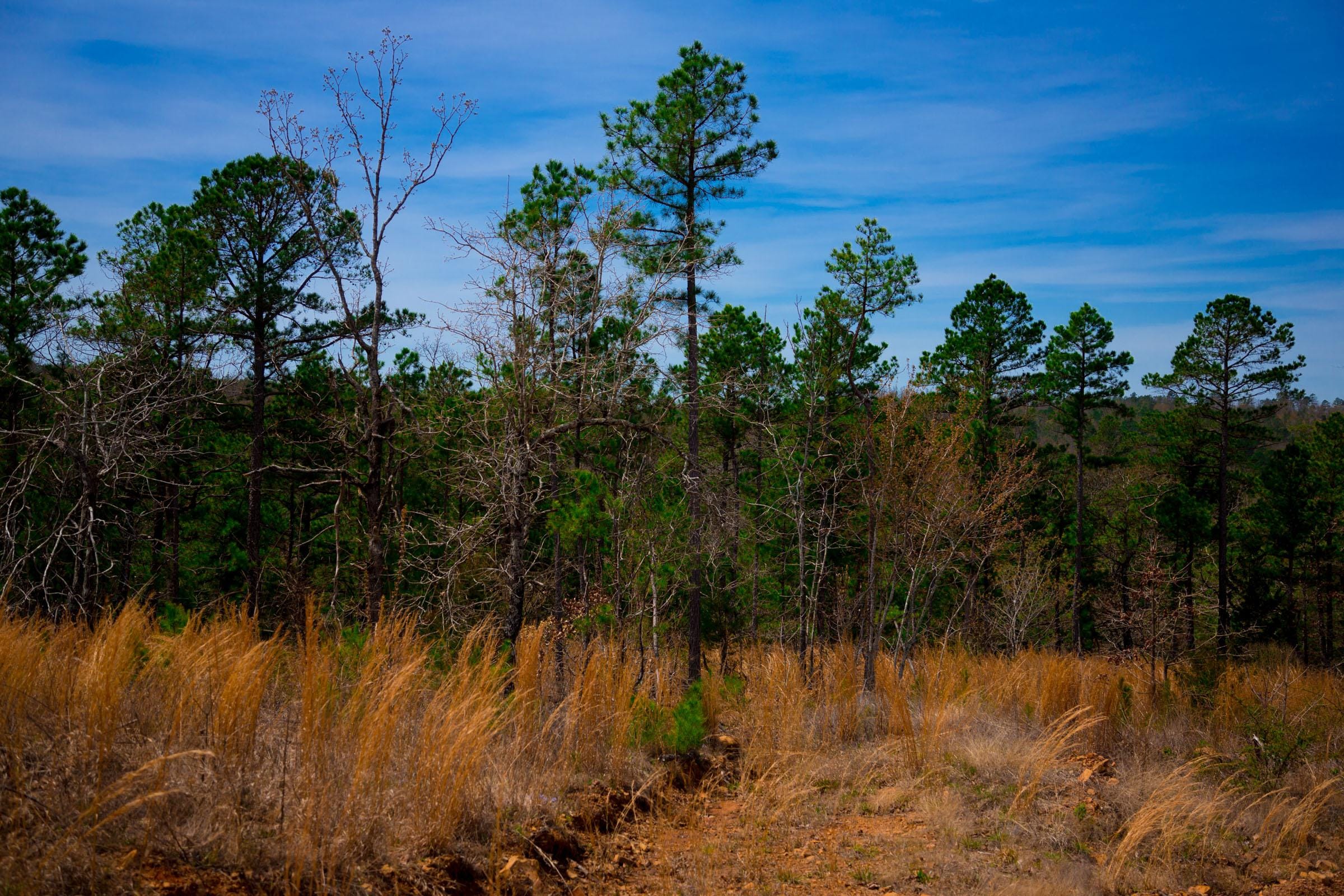 Stone Creek Phase II Tract 206 photo 15