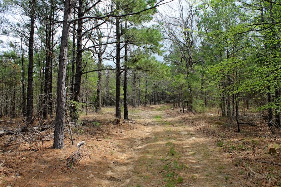 Trophy Ridge Phase III Tract 50 photo 1