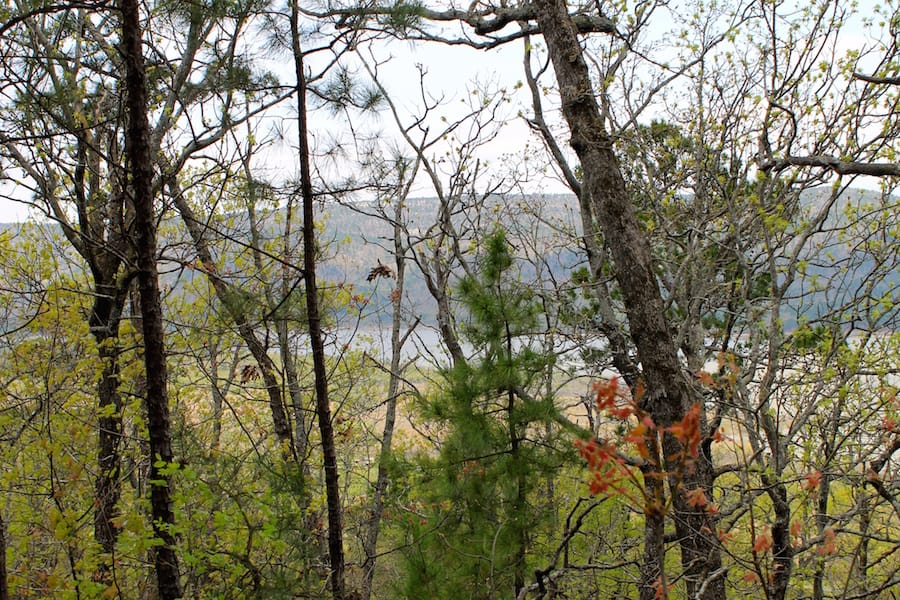 Trophy Ridge Phase III Tract 50 photo 20