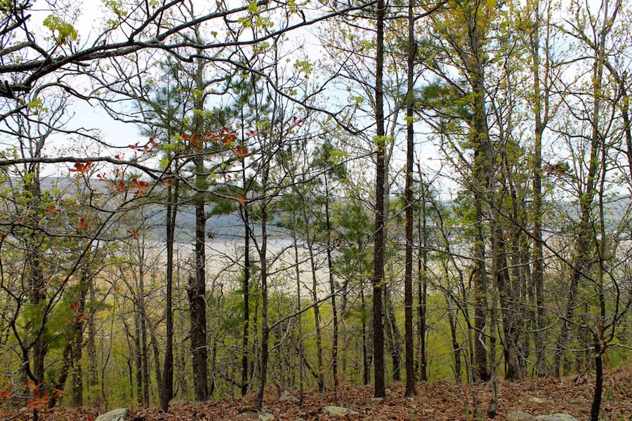 Trophy Ridge Phase III Tract 50 photo 23