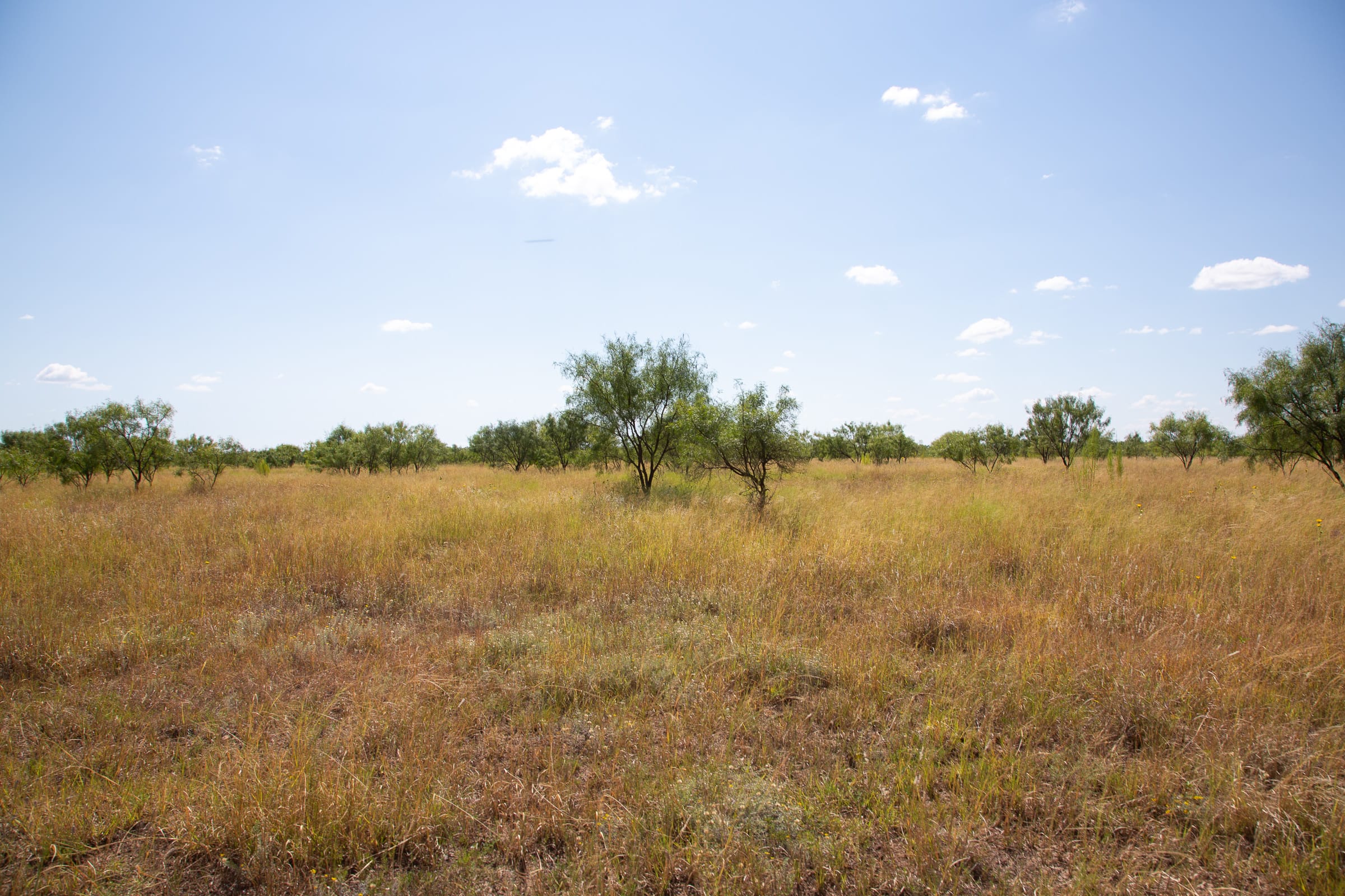 Hunter’s Ranch Tract 9 photo 4
