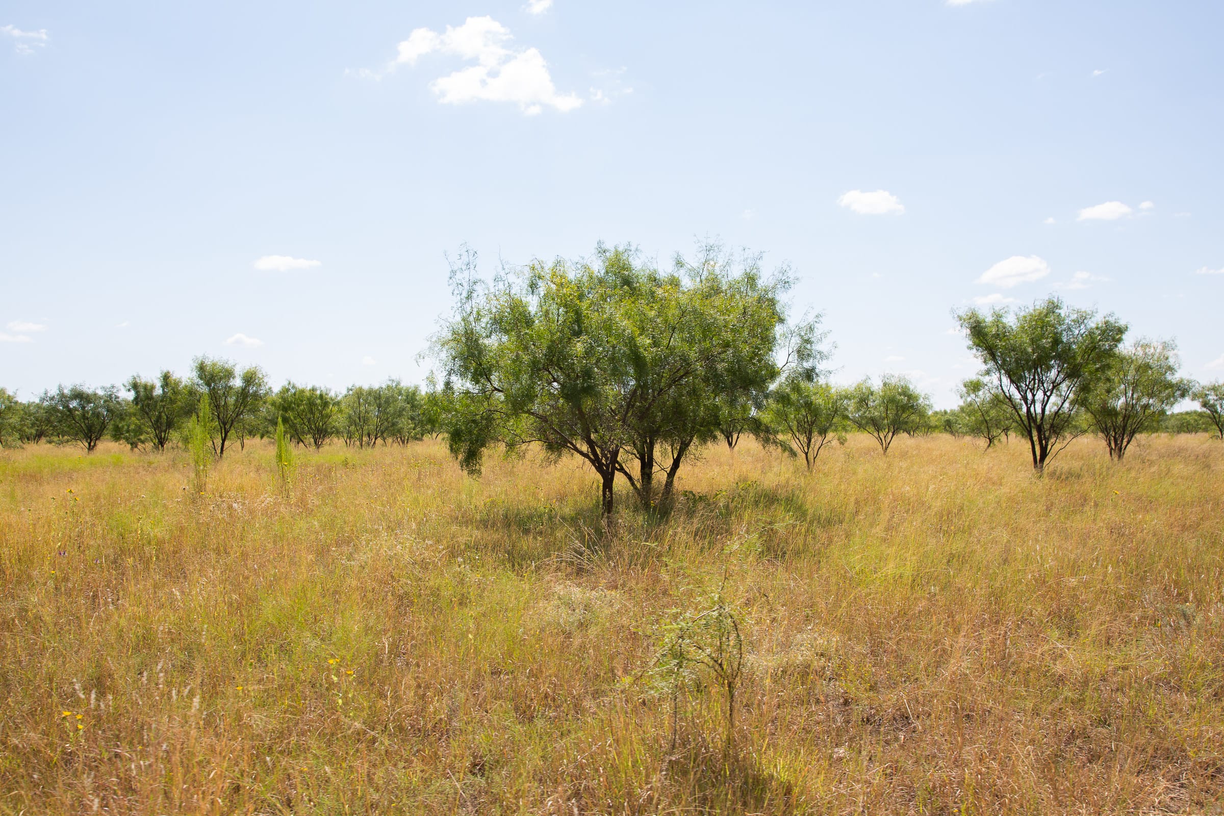 Hunter’s Ranch Tract 9 photo 5