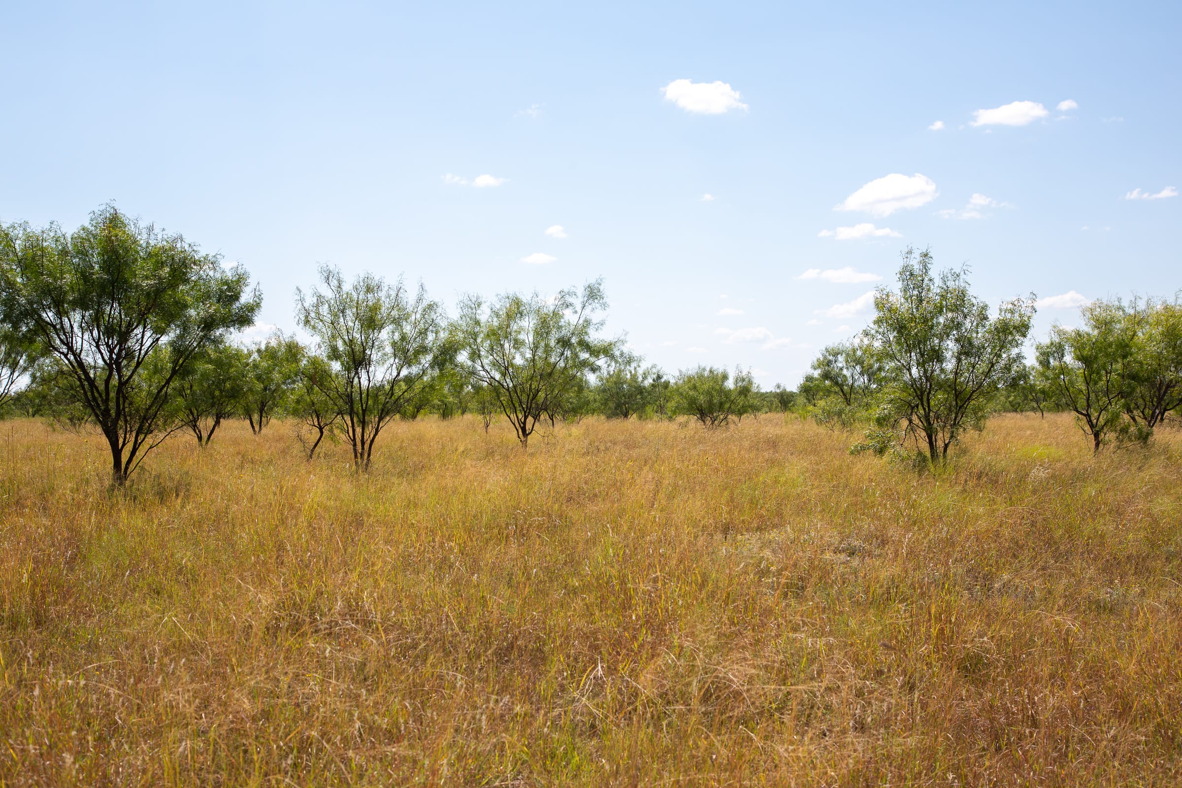 Hunter’s Ranch Tract 9 photo 6