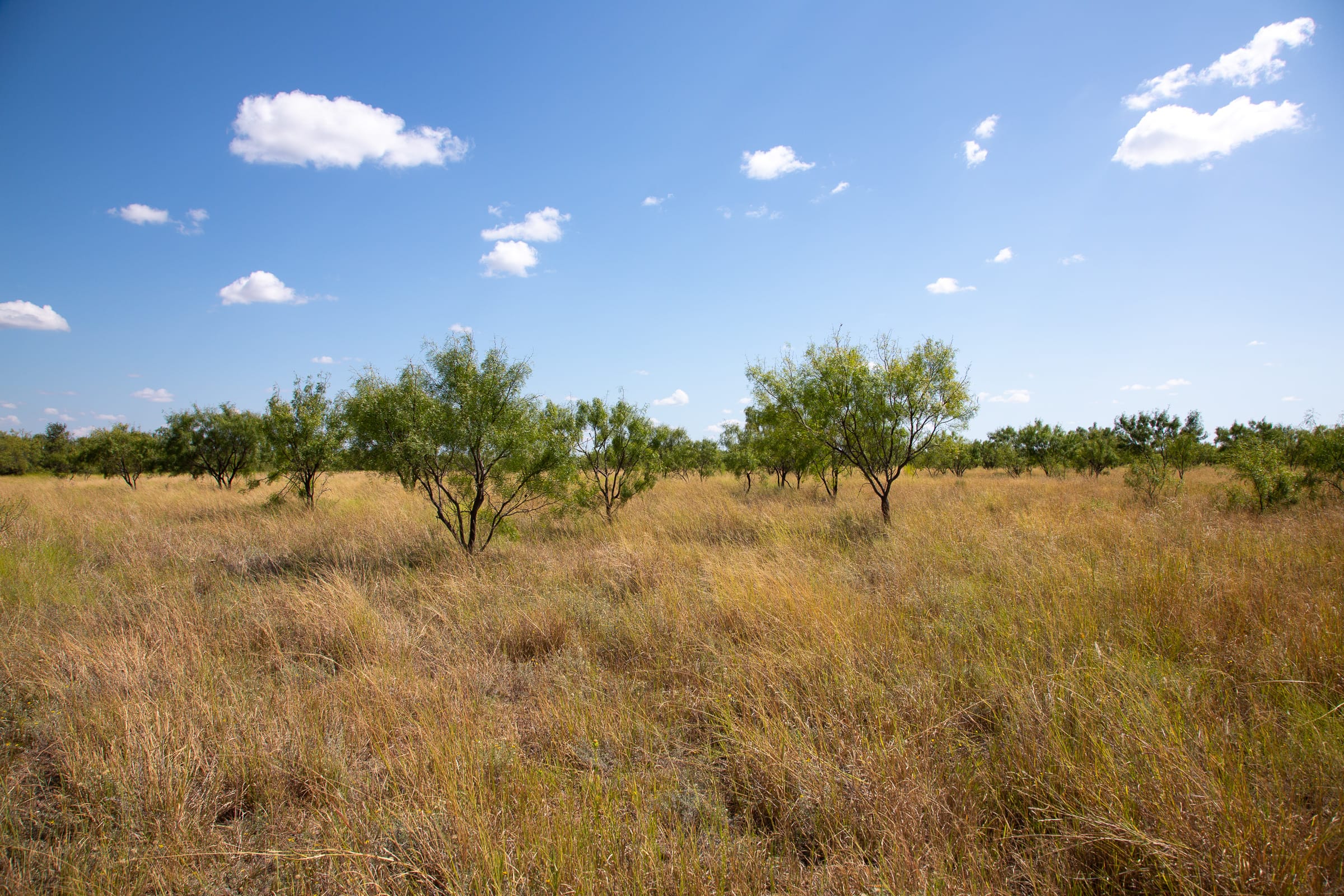 Hunter’s Ranch Tract 9 photo 7
