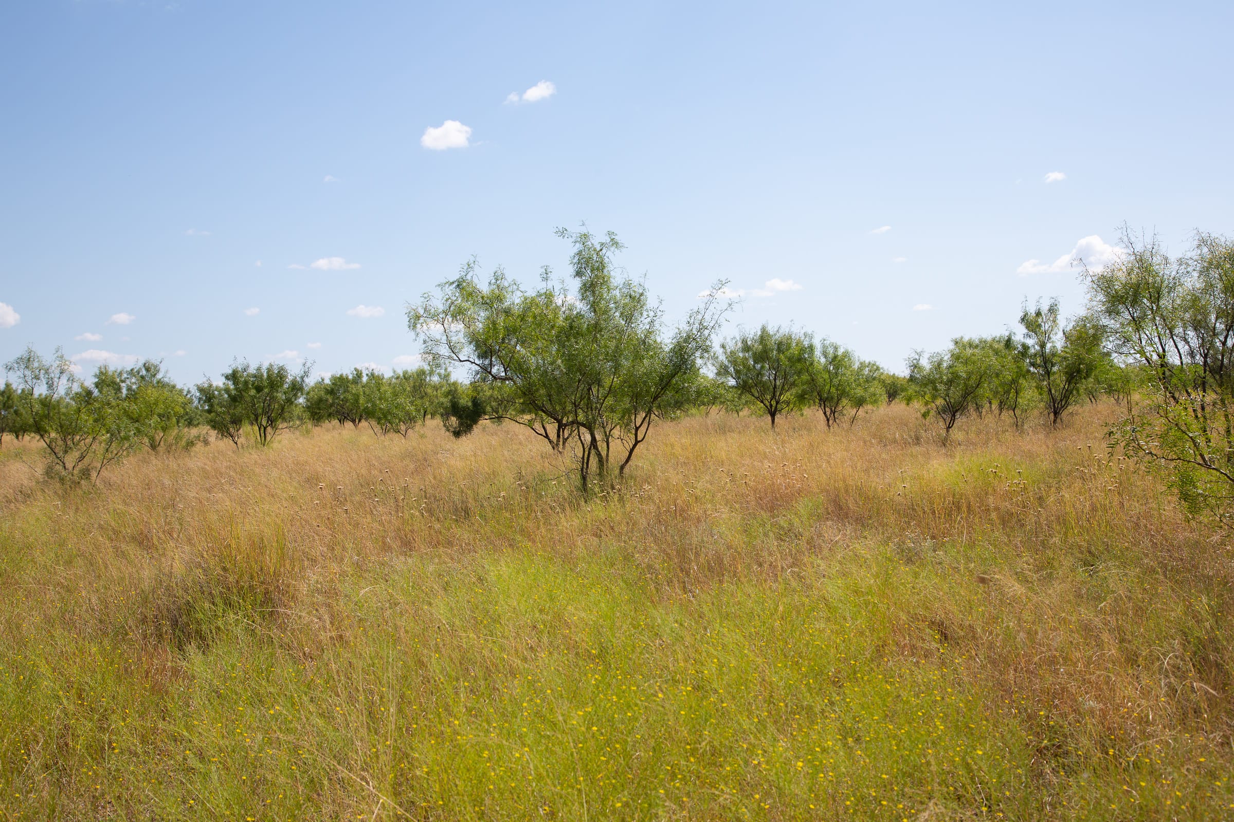 Hunter’s Ranch Tract 9 photo 8