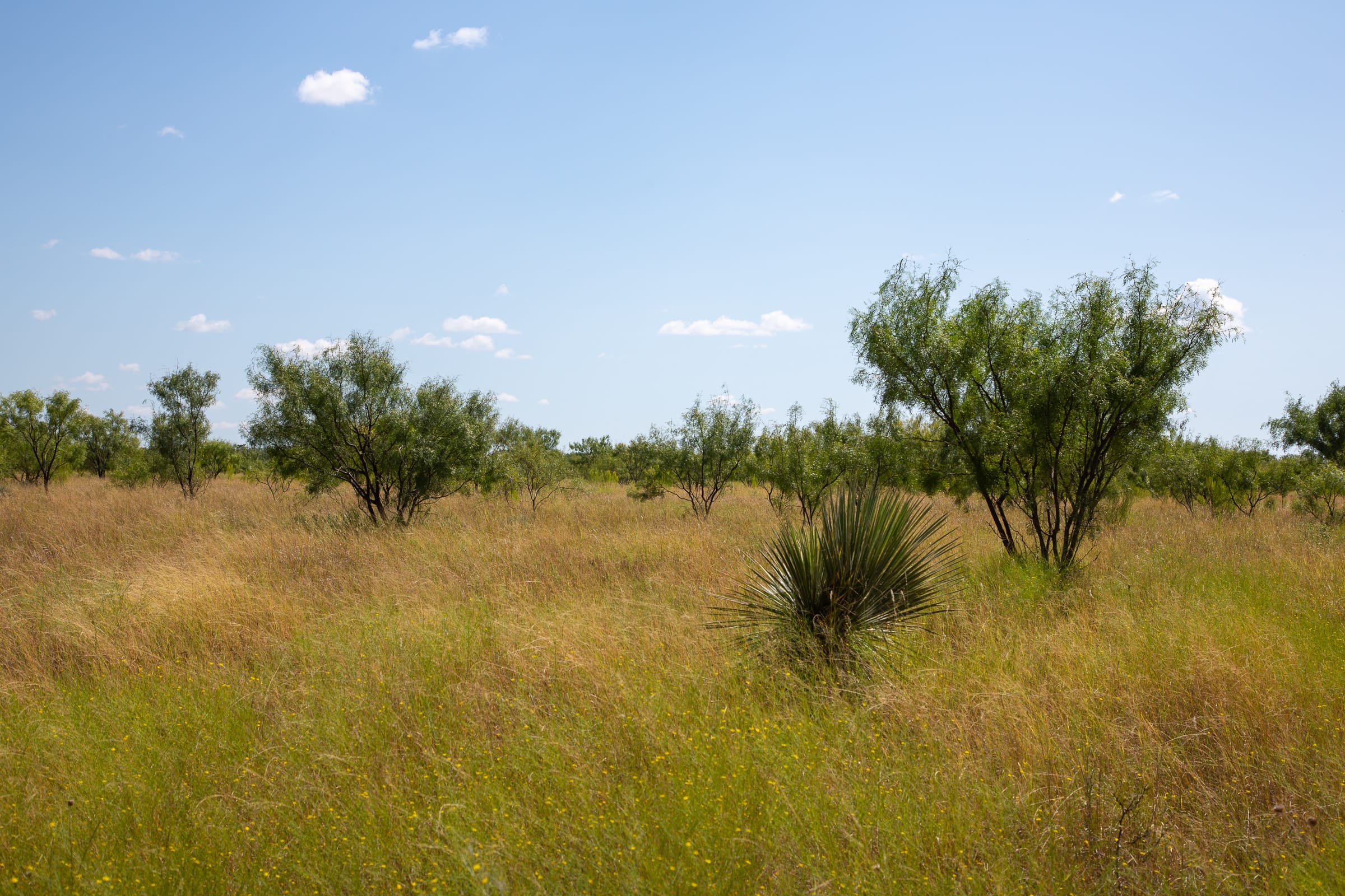 Hunter’s Ranch Tract 9 photo 9