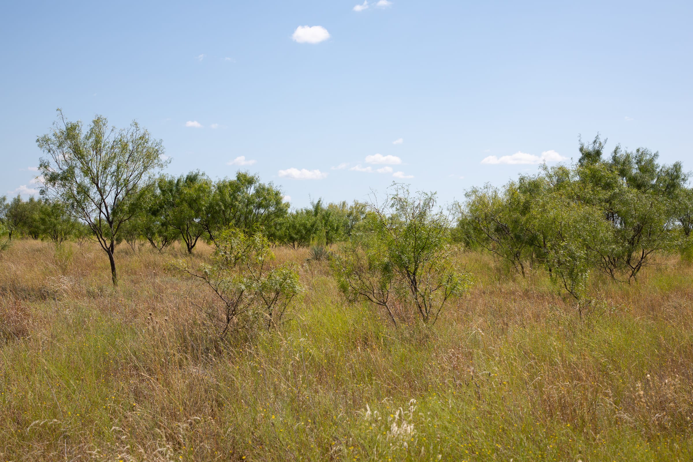 Hunter’s Ranch Tract 9 photo 10