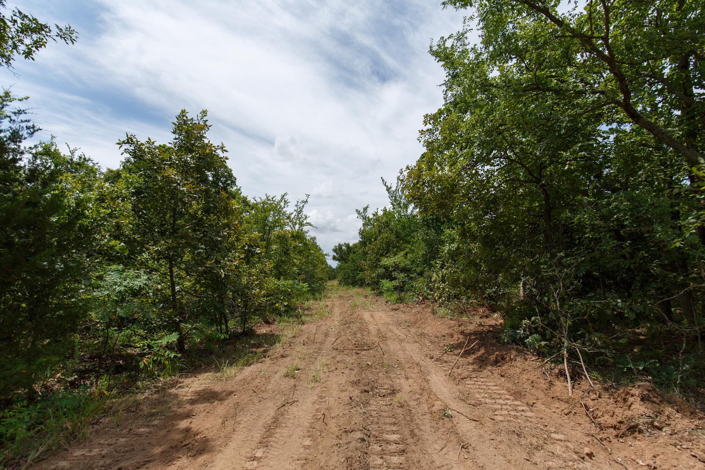 Timber Ridge Tract 21 photo 1