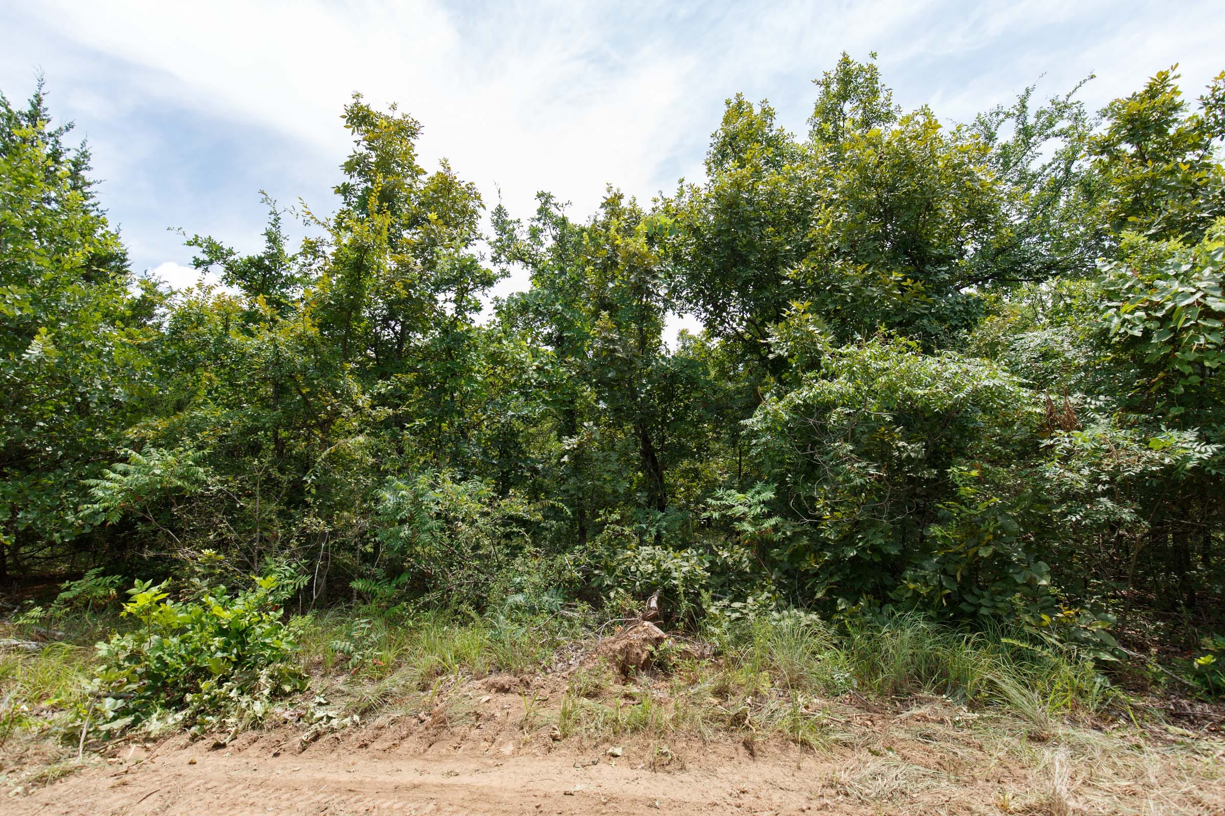 Timber Ridge Tract 21 photo 6