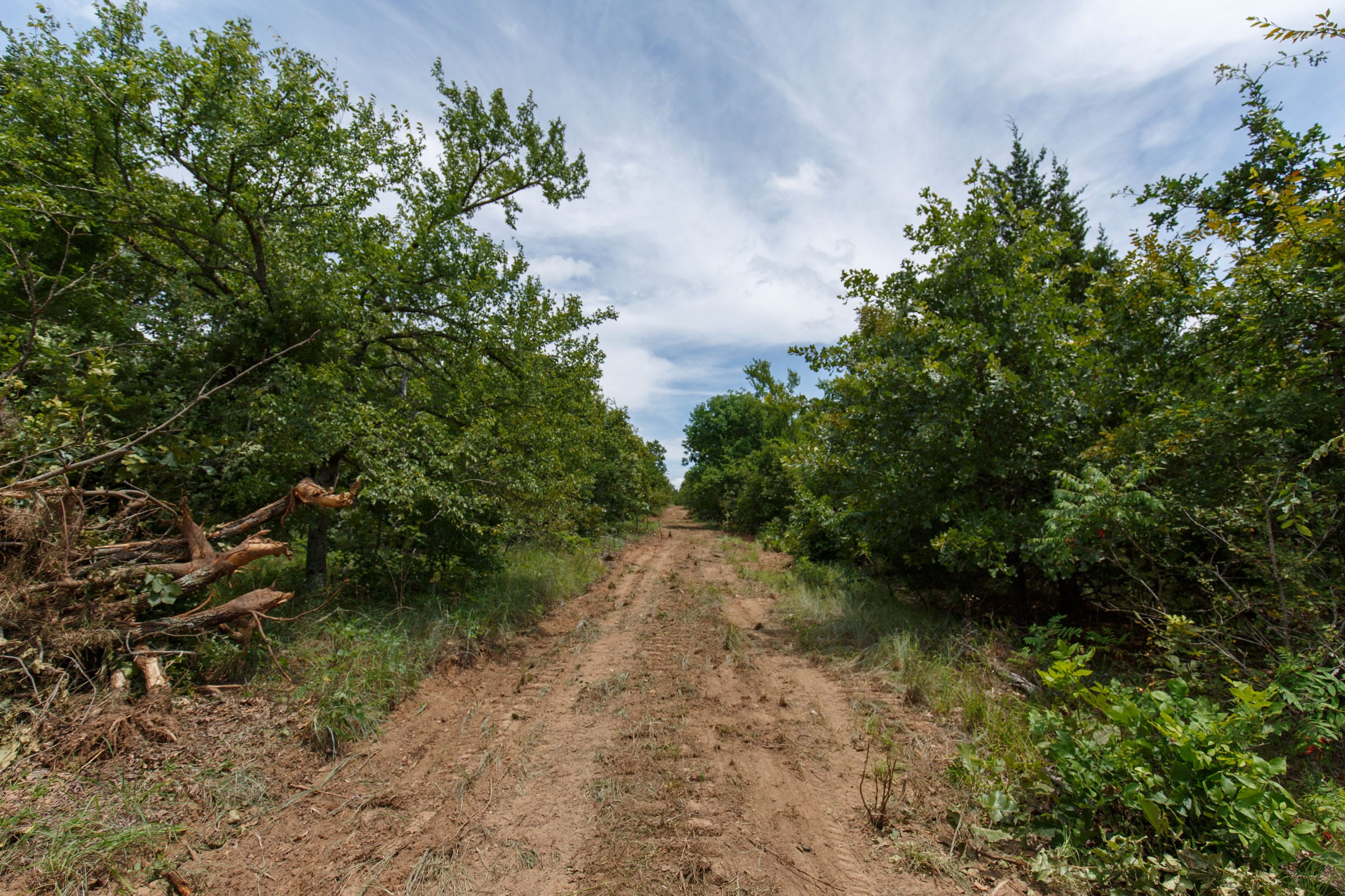 Timber Ridge Tract 21 photo 4