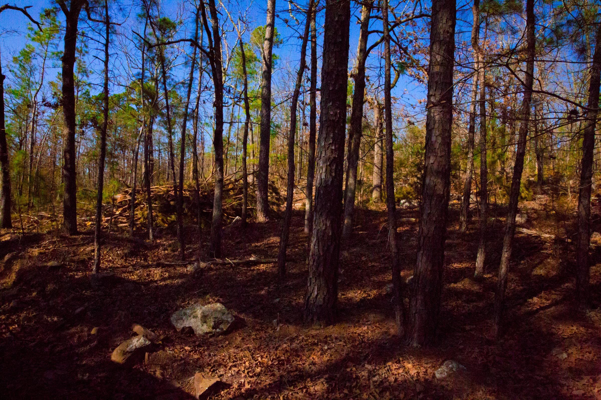 Stone Creek Phase II Tract 138 photo 3
